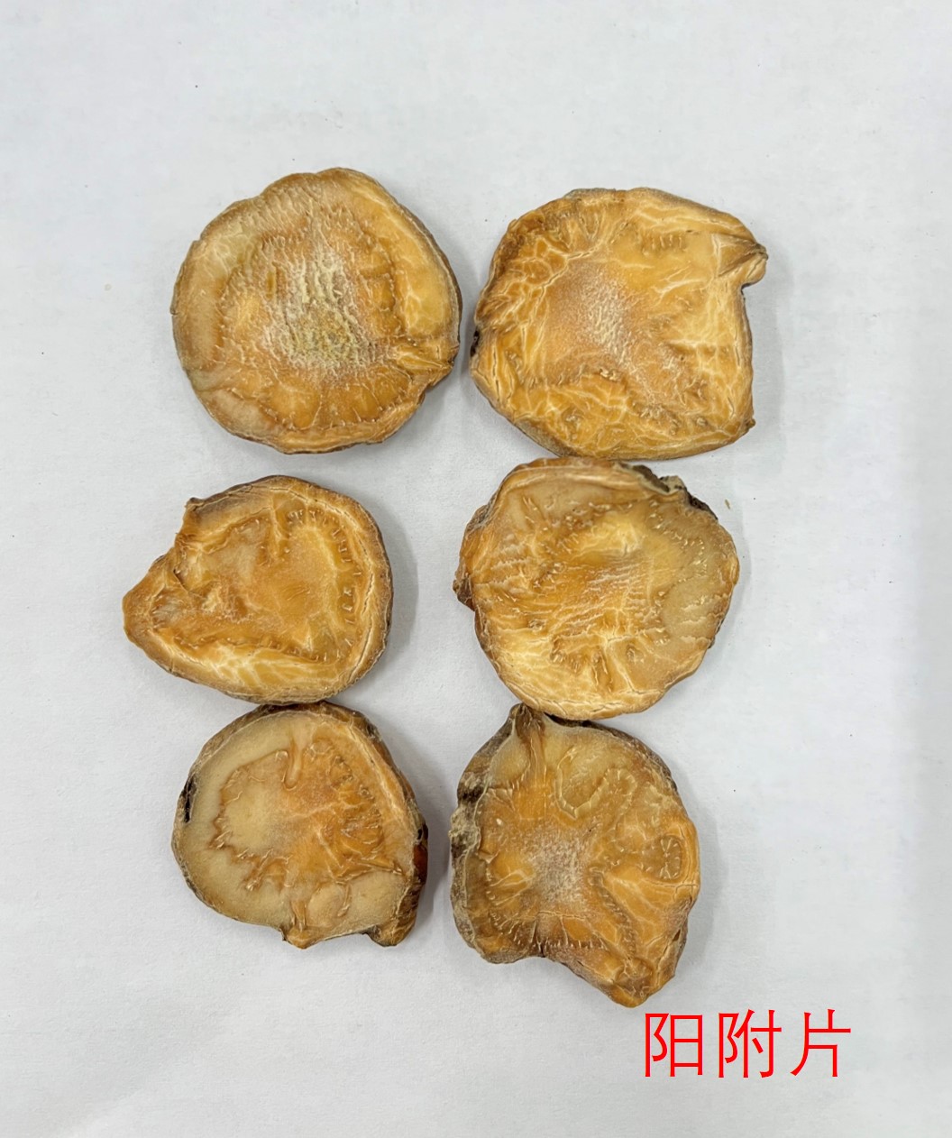 阳附片.jpg