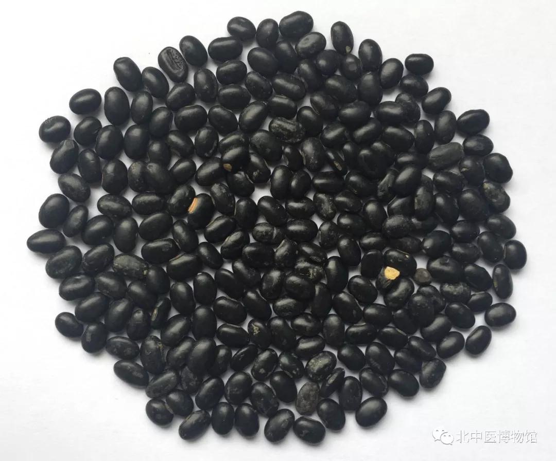 釀媽黑豆豉 - 狄康奈米生物科技